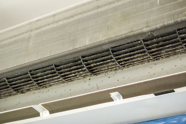 Best Affordable Air Duct Cleaning  in Svis, IL